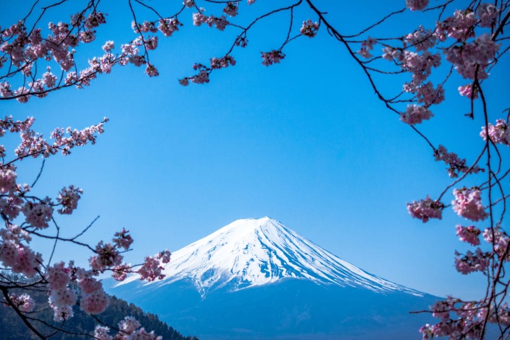 Tall snowy mountain 